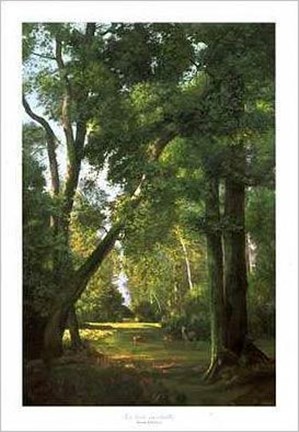 Framed Bois Ensoleille Print