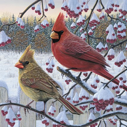 Framed Winter Cardinals Print