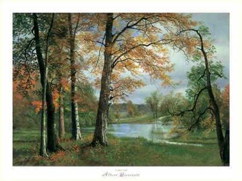 Framed Quiet Pond Print