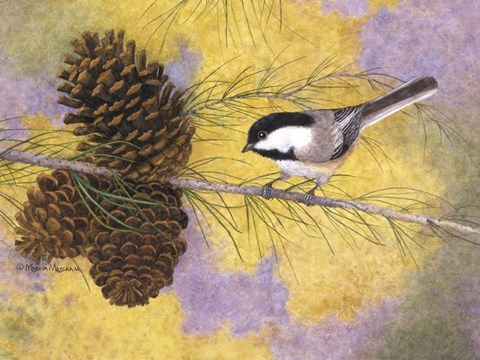 Framed Chickadee in the Pines II Print