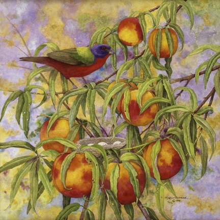 Framed Painted Bunting &amp; Peaches Print