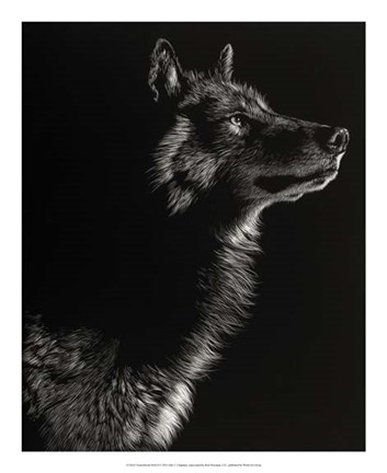 Framed Scratchboard Wolf II Print