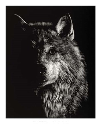 Framed Scratchboard Wolf III Print