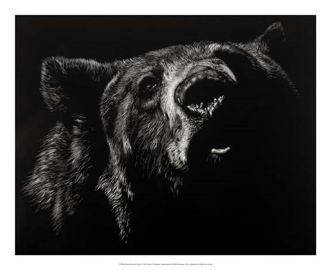 Framed Scratchboard Critic Print