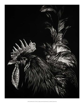 Framed Scratchboard Tyrant Print