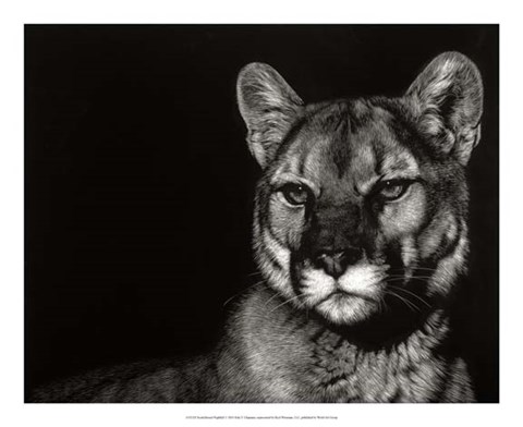 Framed Scratchboard Nightfall Print