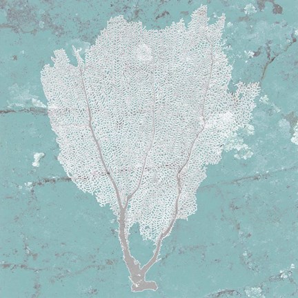 Framed Graphic Sea Fan I Print