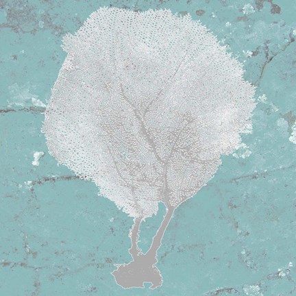 Framed Graphic Sea Fan II Print