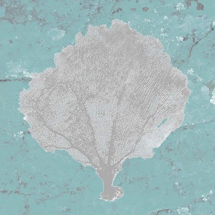 Framed Graphic Sea Fan V Print