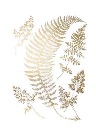 Framed Gold Foil Ferns IV Print