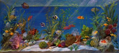 Framed Acquario Print