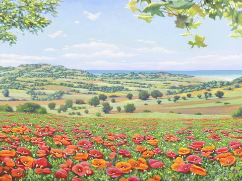 Framed Campo di Papaveri Print
