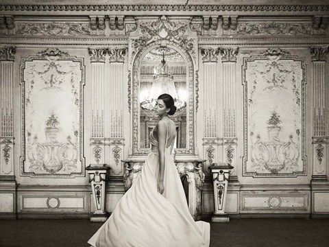 Framed At the Palace Print