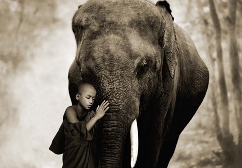 Framed Healing Embrace Print