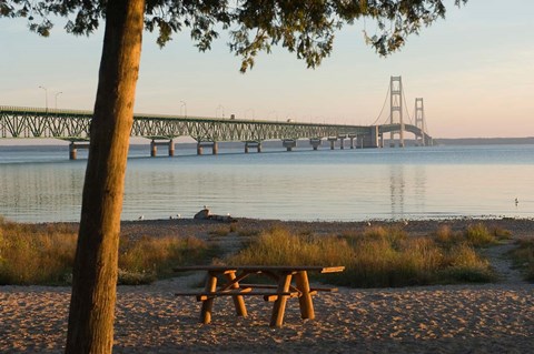 Framed Mackinac Bridge, Mackinaw City Print