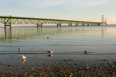 Framed Mackinac Bridge, Mackinaw City, Michigan Print