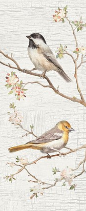 Framed Vintage Birds Panel II Print