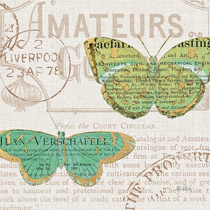 Framed Bookshelf Botanical IX Print