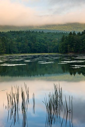 Framed Fog obscures the summit of Mt Monadnock, New Hampshire Print