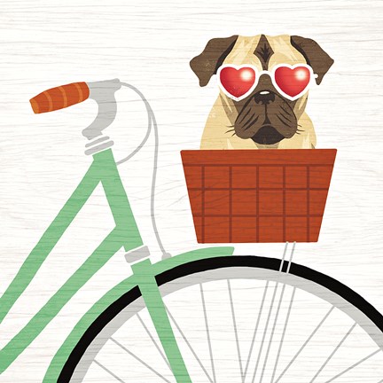 Framed Beach Bums Pug Bicycle I Print