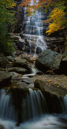 Framed Waterfall in a forest, Arethusa Falls, Crawford Notch State Park, New Hampshire, New England Print