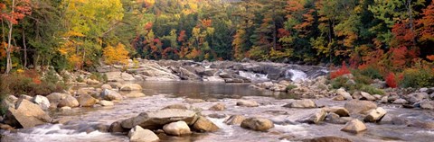 Framed New Hampshire, White Mountains National Forest, River flowing through the wilderness Print