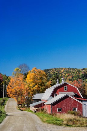 Framed Rural barn in autumn, New Hampshire Print