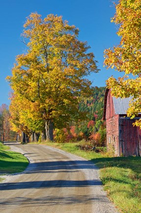 Framed Road beside Classic Farm in Autumn, New Hampshire Print