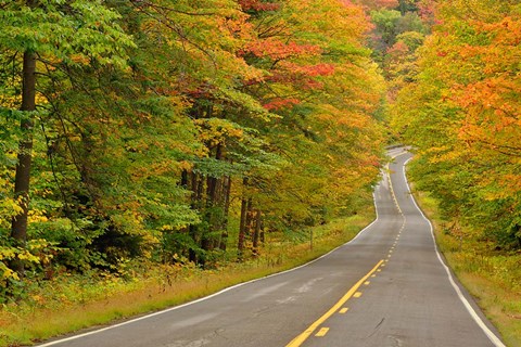 Framed Roadway through White Mountain National Forest, New Hampshire Print
