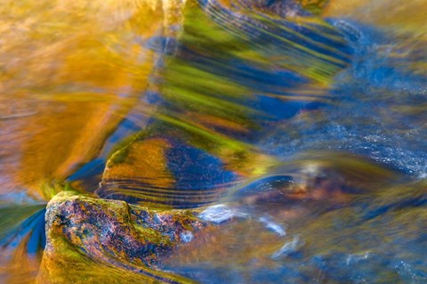 Framed Fall Reflections in Stream, White Mountain National Forest, New Hampshire Print