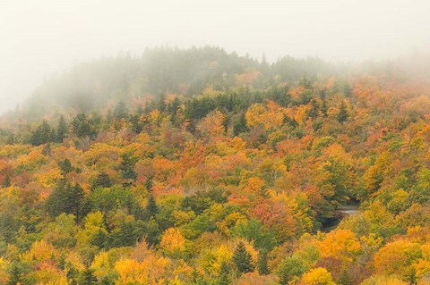 Framed New Hampshire, White Mountain National Forest, Autumn Print