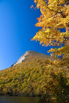 Framed White Mountains, Franconia Notch, New Hampshire Print