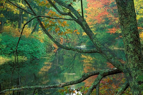 Framed Fall Along the Lamprey River in Durham, New Hampshire Print