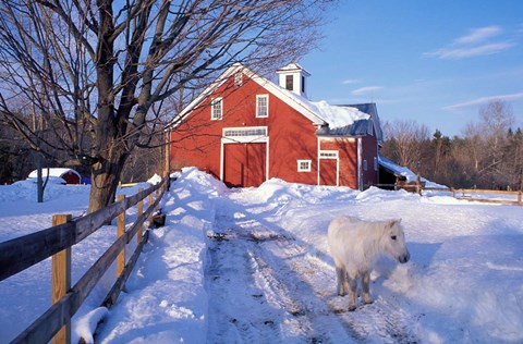 Framed Pony and Barn near the Lamprey River in Winter, New Hampshire Print