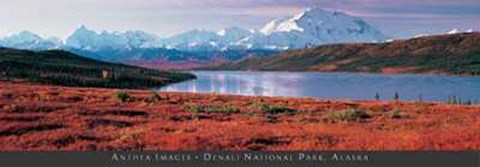 Framed Anonymous - Denali National Park, Alaska Size 54.5x19 Print