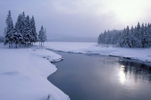 Framed Snow on the Shores of Second Connecticut Lake, Northern Forest, New Hampshire Print