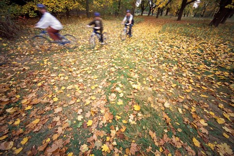 Framed Riding Bikes in Late Fall, New Hampshire Print