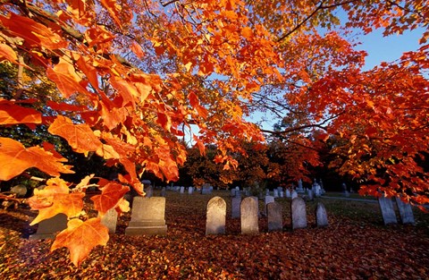 Framed Fall Morning in a Portsmouth Cemetary, New Hampshire Print