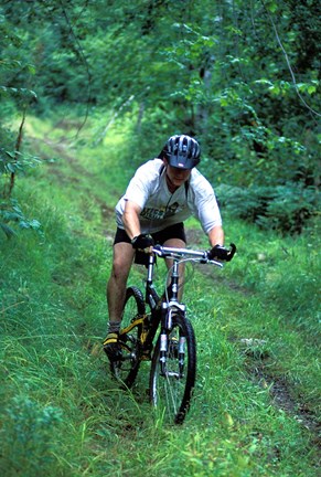 Framed Mountain Biking on Providence Pond Loop Trail, White Mountain National Forest, New Hampshire Print