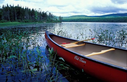 Framed Canoeing on Lake Tarleton, White Mountain National Forest, New Hampshire Print