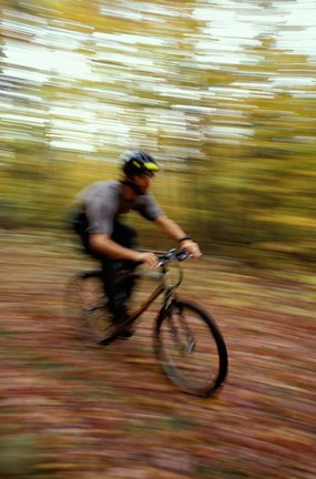 Framed Mountain Biking, Old Logging Road, New Hampshire Print