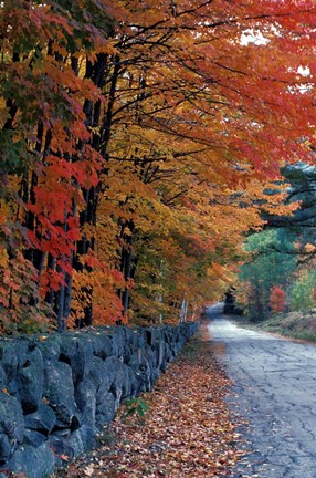 Framed Fall Colors in the White Mountains, New Hampshire Print