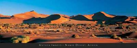 Framed Namib Desert, Africa Print