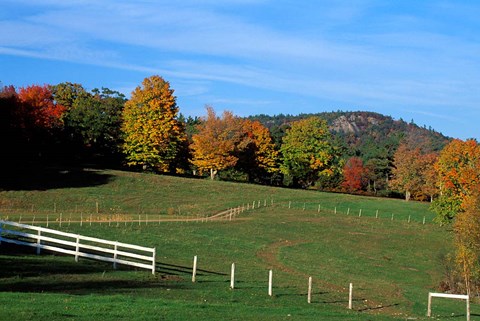 Framed Horse Farm in New England, New Hampshire Print