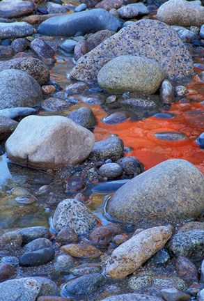 Framed Fall Colors Reflect in Saco River, New Hampshire Print