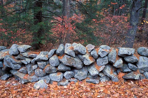 Framed Stone Wall next to Sheepboro Road, New Hampshire Print