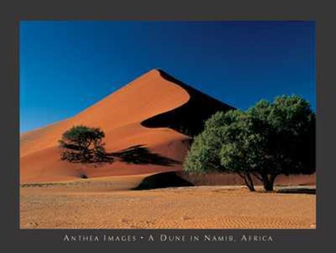 Framed Dune in Namib, Africa Print