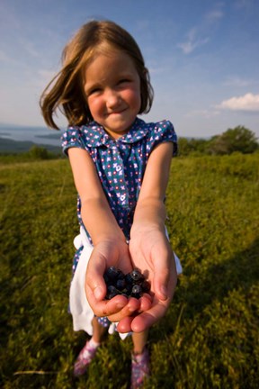 Framed Child, blueberries, Alton, New Hampshire Print