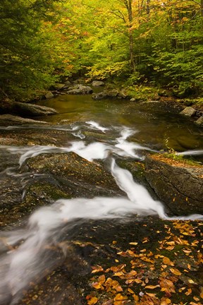 Framed Autumn stream, Grafton, New Hampshire Print