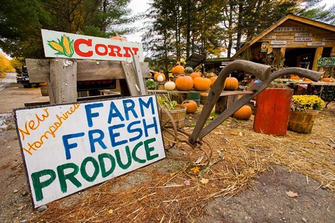 Framed Farm stand in Holderness, New Hampshire Print